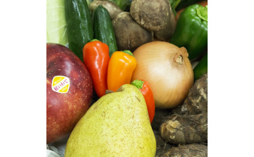 【定期便６ヶ月】イーハトーヴ野菜A お試しセット 6品～＜予約受付2026年4月より発送開始＞ 【294】