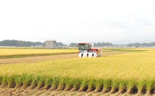 【3ヶ月定期便】岩手花巻産ひとめぼれ「健土健米」１０㎏ 【308】