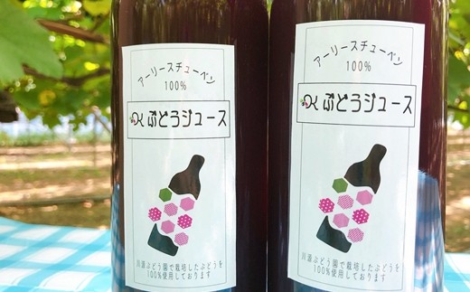 ＜予約受付！＞【糖度18～20度のぶどう100％使用】ぶどうジュース２本セット 【531】