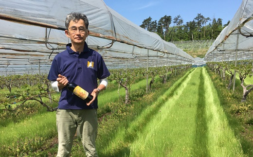 大迫佐藤葡萄園赤ワイン2本セット（ツヴァイゲルト・メルロー） 【649】