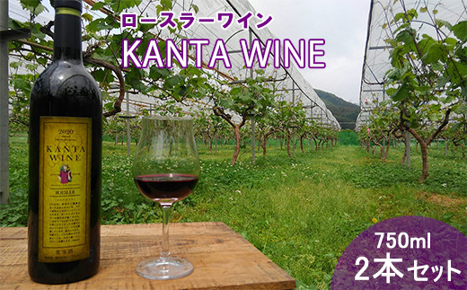 ロースラー ワイン KANTA WINE 2024（赤） 750ml×2本セット 【967】