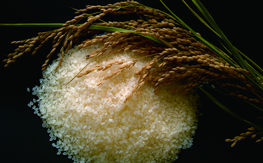 《 令和7年産米 》花巻市産 一等級 ひとめぼれ玄米30kg 【998】