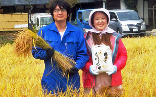 ≪令和7年産≫【6ヶ月定期便】減農薬栽培 ひとめぼれ玄米5kg 【1109】