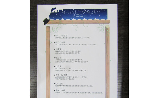 イーハトーヴ野菜C もりもりセット 11品～ 詰め合わせ 【1207】