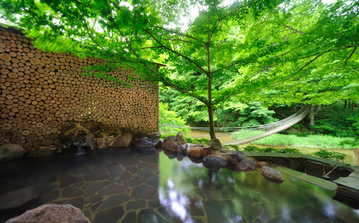 結びの宿  愛隣館  日帰り 入浴券 （10枚セット） 【1267】