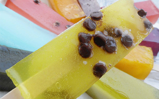 花巻市の老舗菓匠『丸文』 溶けない アイス  くずバー  10種×10本セット 【1288】