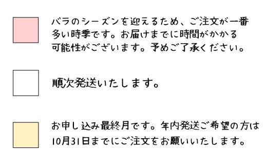 <色が選べる♪>花巻温泉バラ園で育った「バラ大苗」7号サイズ -ピンク- 【1660】