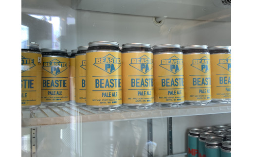 花巻産クラフトビールおまかせ４本セット（350ml×4） 【1816】