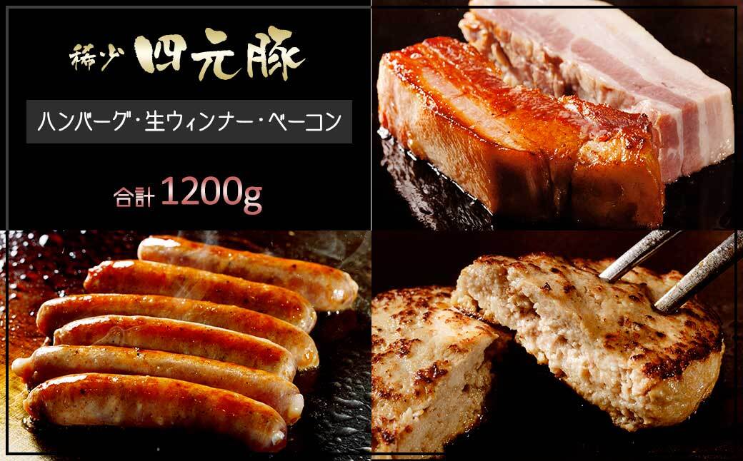 【定期便12ヶ月】四元豚 グルメセットB 4種 1.2kg 【1903】