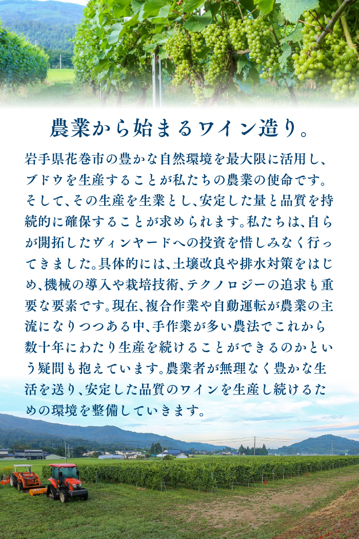 Vespinae（ベスピナエ）  2023 岩手ソーヴィニヨンブラン 750ml×1本 【1970】