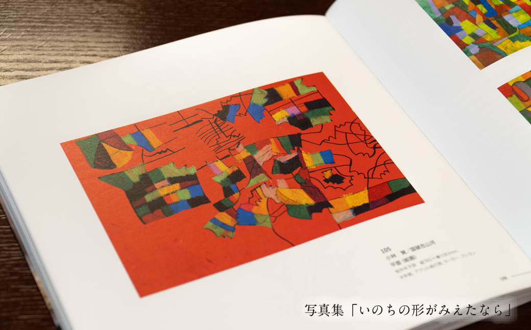 るんびにい美術館写真集「いのちの形がみえたなら」小林覚の「オリジナル・アート色紙」 【2310】