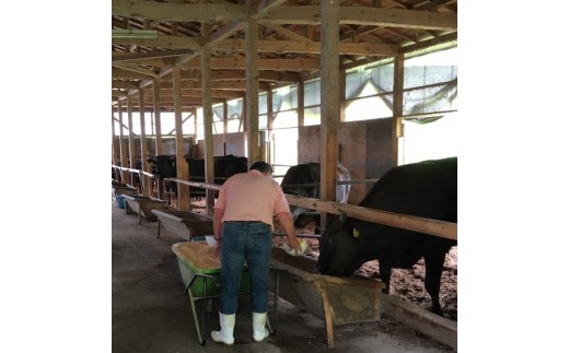 花巻黒ぶだう牛　肩ローススライス (焼肉用、もしくはすき焼き用） 【511】
