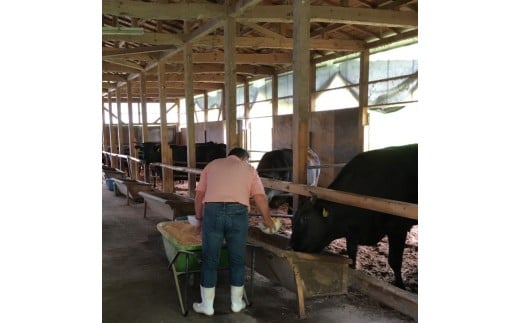 花巻黒ぶだう牛　サーロインステーキ用 【512】