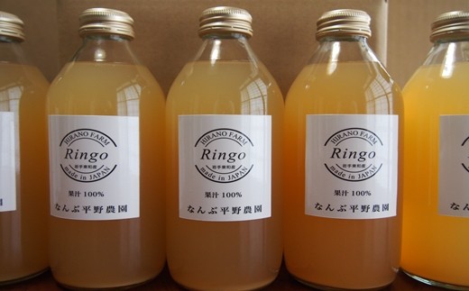 新鮮なうちに絞った果汁100％りんごジュース ５本セット 【521】
