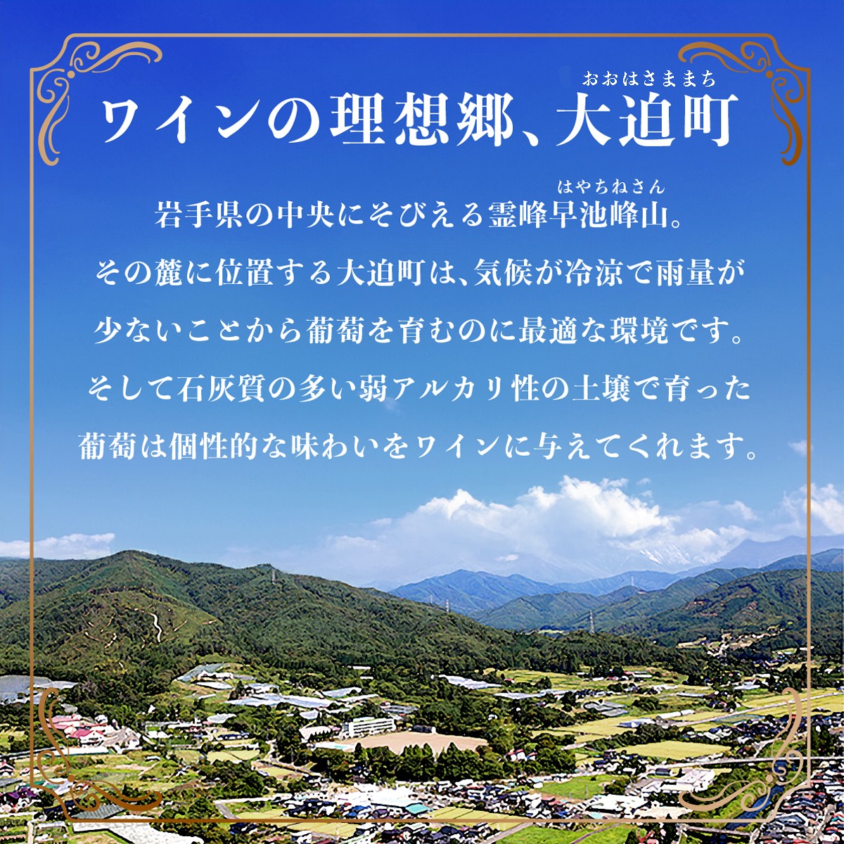 特別限定醸造ワインを毎月お届け！エーデルワイン 12か月定期便　毎月1本お届け 【629】