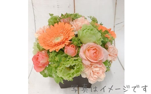 お花の定期便 フラワーアレンジメント 12ヶ月連続届く 【760】