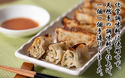 カスイ　生餃子詰合せ 【076】