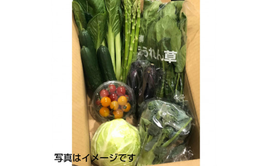 イーハトーヴ野菜C もりもりセット 11品～ 詰め合わせ 【1207】