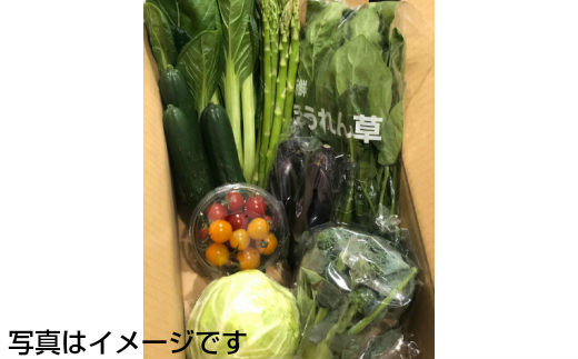 【定期便３ヶ月】イーハトーヴ野菜C もりもりセット 11品～ 詰め合わせ＜予約受付2026年4月より発送開始＞ 【1208】