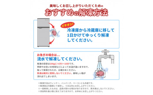 四元豚 あらびきウインナー 10パック 【1227】