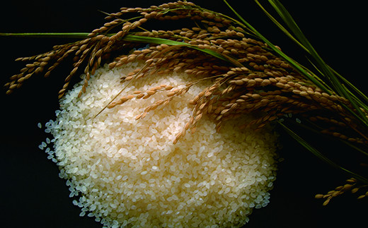 《令和7年産米》花巻ひとめぼれ14kg（2kg×7袋） 【1290】