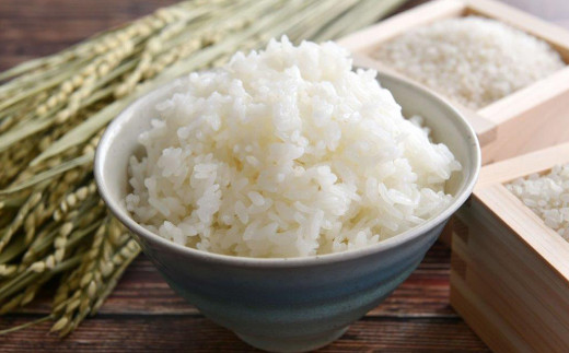 つきあかり 精米 2kg 【1397】