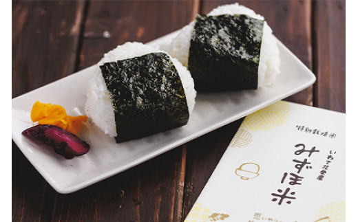 みずほ米 食べ比べセット  【1776】