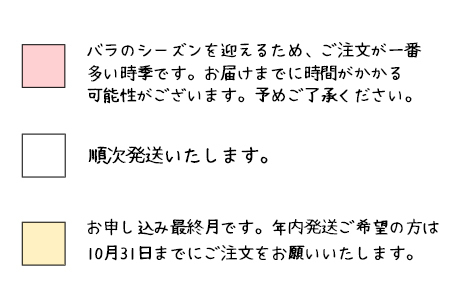 花巻温泉バラ園で育った「バラ大苗」7号サイズ おまかせ2本セット 【2001】