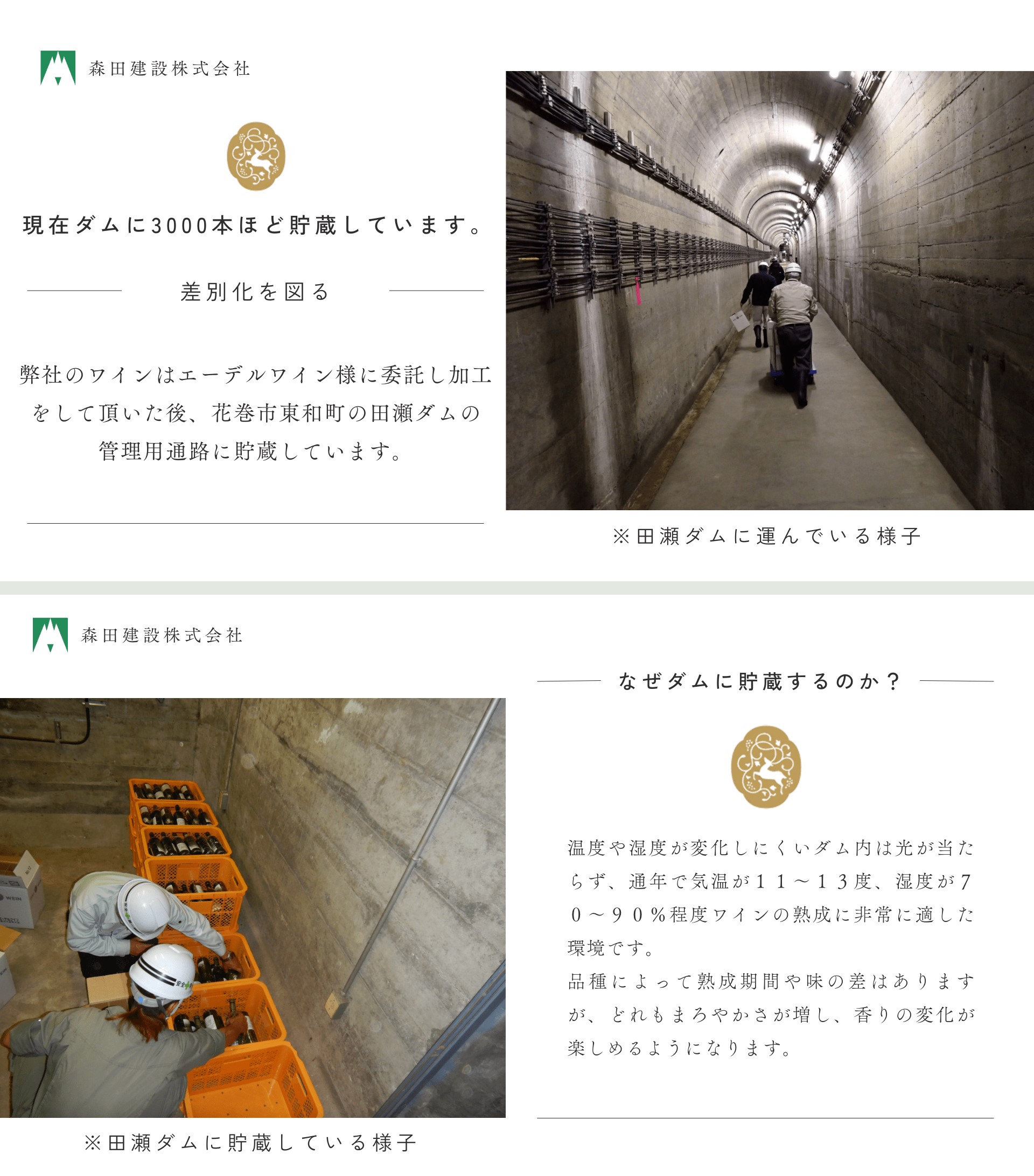 「早池峰の恵み」モリタワイン リースリング2018 ダム貯蔵ワイン 辛口　720ml×1本 【2105】