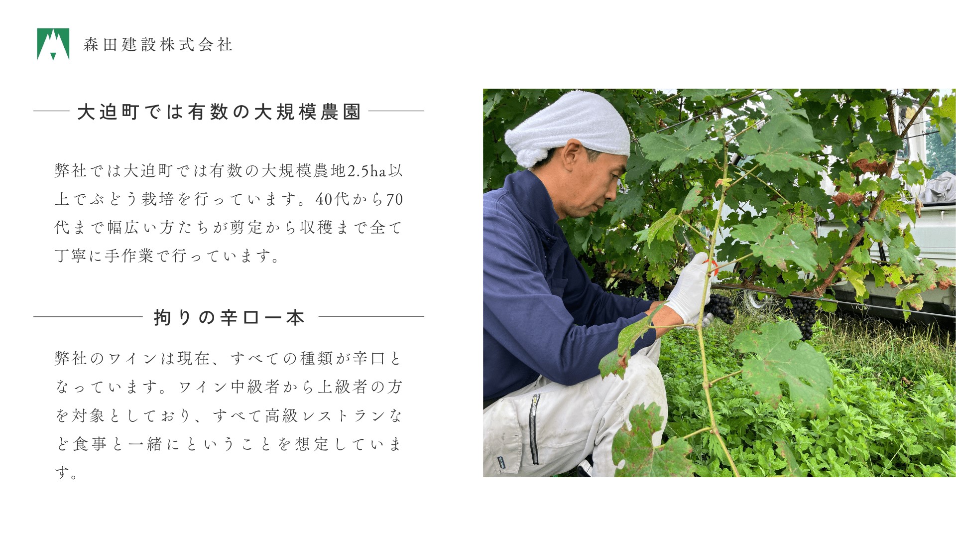 「早池峰の恵み」モリタワイン カベルネ・ソーヴィニヨン2017 ダム貯蔵ワイン ミディアムボディ 辛口 720ml×1本 【2109】