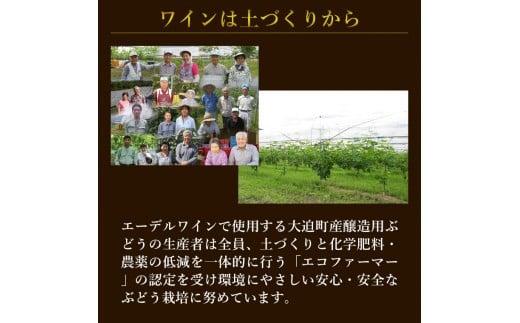 デザートワイン ゼーレオオハサマ リースリング・リオン 冷凍果汁仕込 375ml×1本 白 【箔押しギフトBOX入り】 エーデルワイン 【2142】