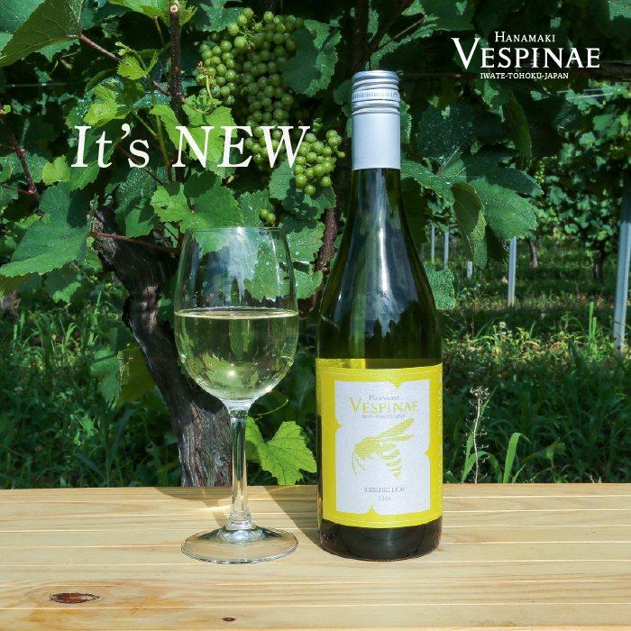  Vespinae（ベスピナエ）リースリングリオン 2024 白ワイン 750ml×1本 【2165】