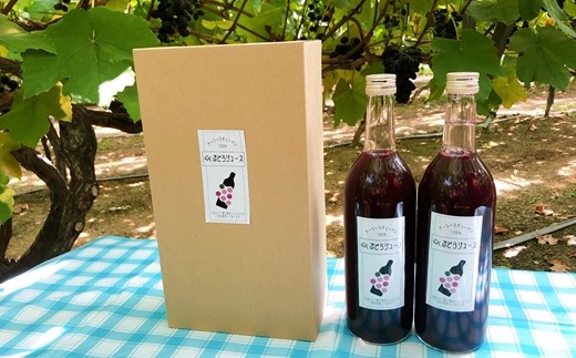 ＜予約受付！＞【糖度18～20度のぶどう100％使用】ぶどうジュース２本セット 【531】