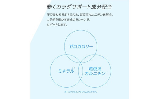 ゼロカロリーで熱中症対策におすすめ！アクエリアスゼロ2Lペットボトル×6本 【655】