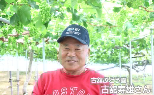 完熟スチューベン100％ おおはさま ぶどうジュース 1ℓ×2本セット 【708】