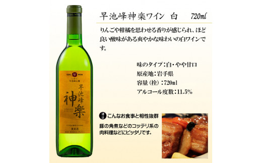 エーデルワイン 花巻満喫 家のみセット【早池峰神楽ワイン赤白＆白金豚角煮・ジャーキー】 【757】