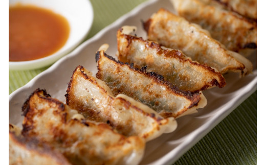 カスイ　生餃子詰合せ 【076】