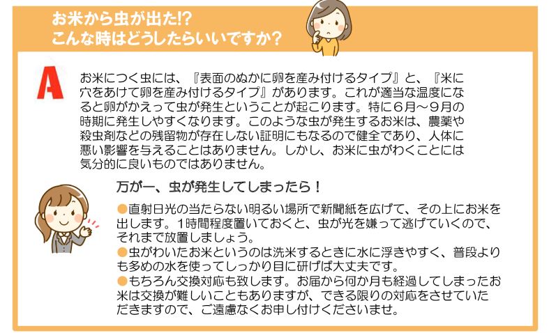 《 令和7年産米 》花巻市産 一等級 ひとめぼれ玄米30kg 【998】