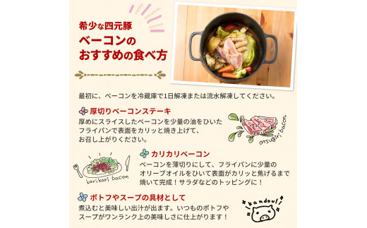 四元豚 熟成ベーコンブロック 3個 【1128】