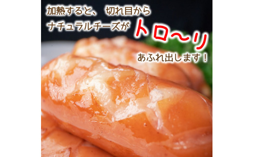 チーズでるソーセージ（24袋セット）  [1172]