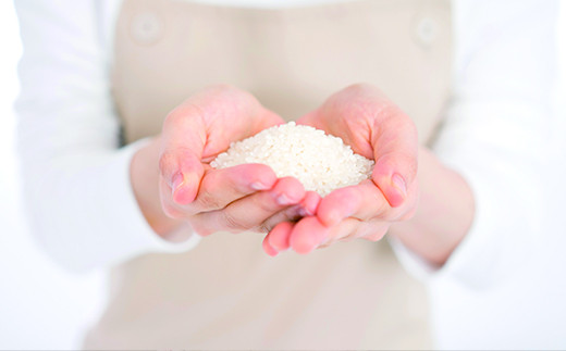 《令和７年産米》花巻ひとめぼれ8kg（2kg×4袋） 【1289】