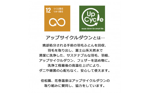 ダウンパッド（羽毛敷きパッド）セミダブル ［サステナブルなダウン×抗菌防臭生地］ 【1328】