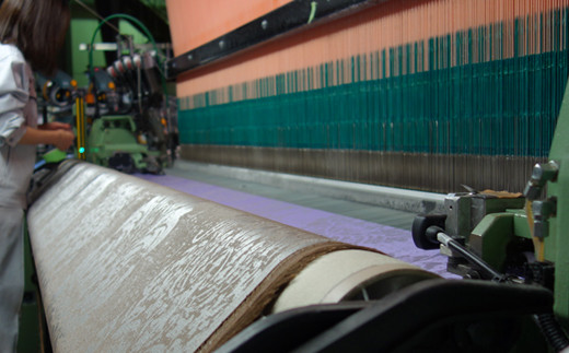 アイダーダウン掛けふとん クイーン［アイダーダウン×国産シルク ジャカード］ 【1373】