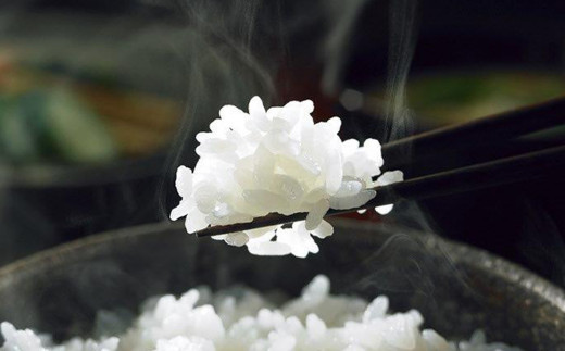 つきあかり 精米 2kg 【1397】