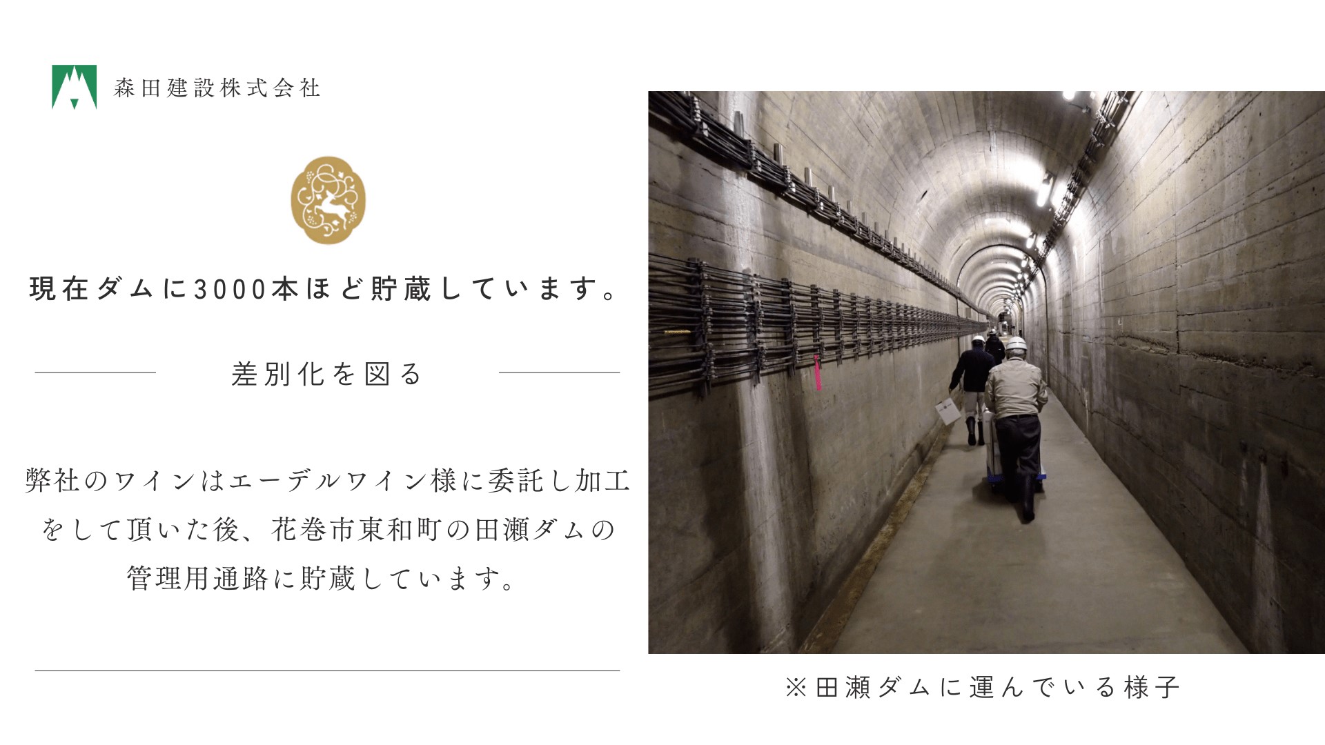 「早池峰の恵み」モリタワイン カベルネ・ソーヴィニヨン2021 ダム貯蔵ワイン ミディアムボディ 辛口　750ml×1本 【2110】