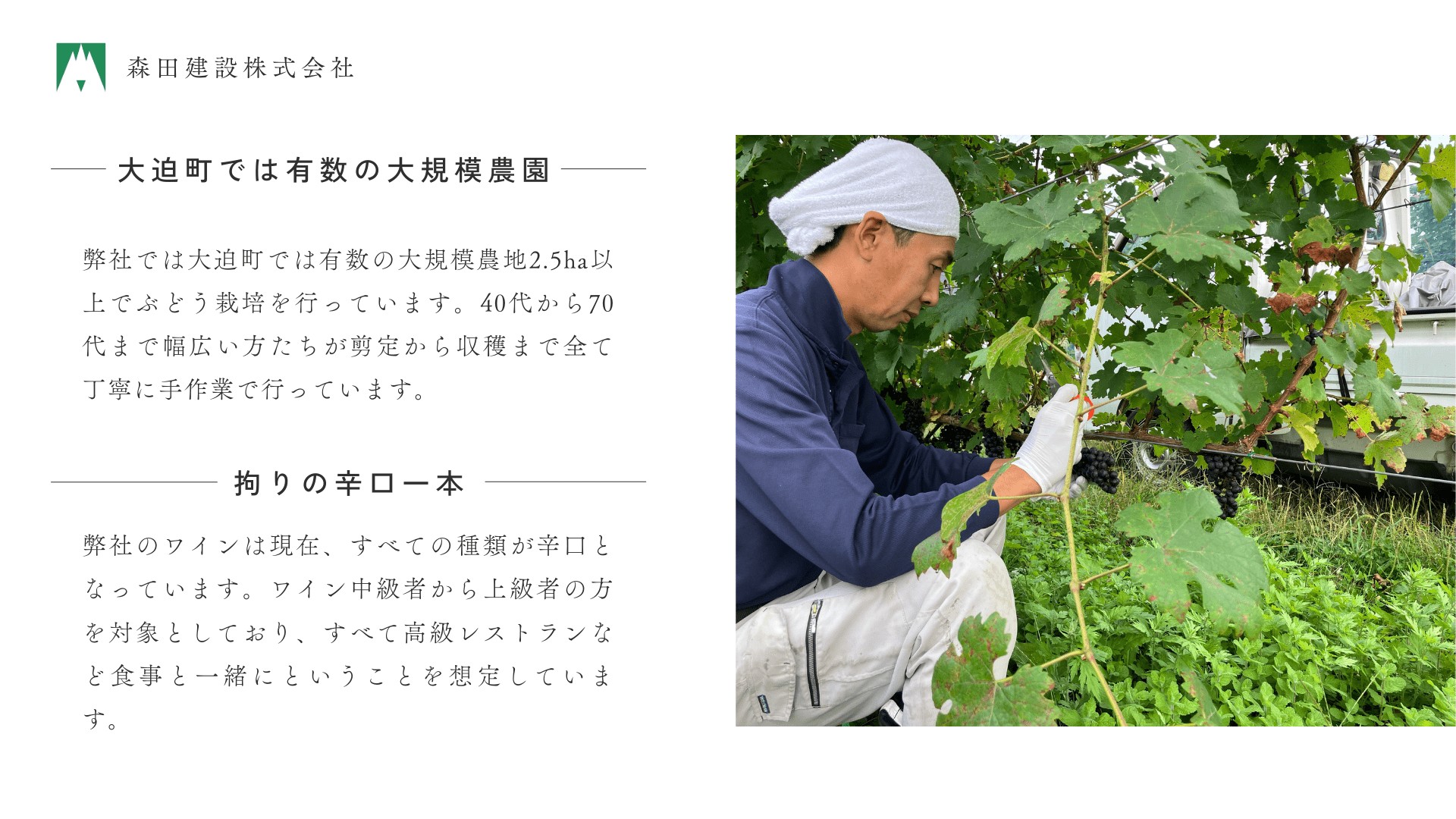 【数量限定】「早池峰の恵み」モリタワイン ダム貯蔵熟成 リースリング 年代別飲み比べセット 6本セット 【2201】