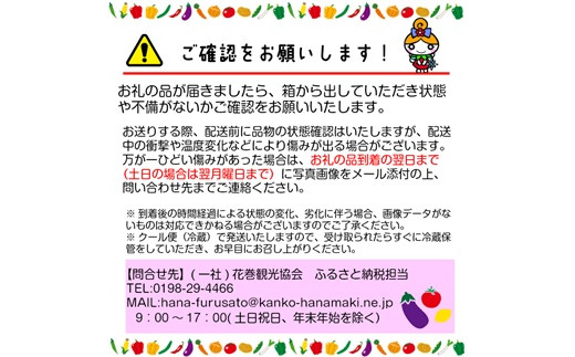 【定期便３ヶ月】イーハトーヴ野菜A お試しセット6品～＜予約受付2026年4月より発送開始＞ 【293】