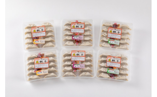 カスイ　生餃子詰合せ 【076】