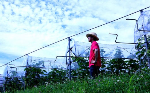 ロースラー ワイン KANTA WINE 2024（赤） 750ml×4本セット 【969】