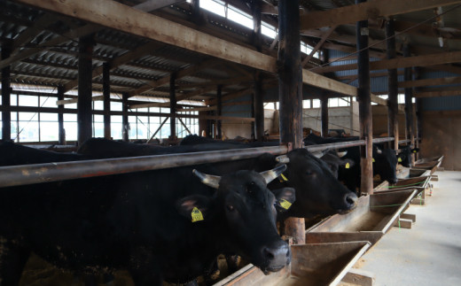 岩手こだわり和牛 胡四の牛王ロースすき焼き用 【147】